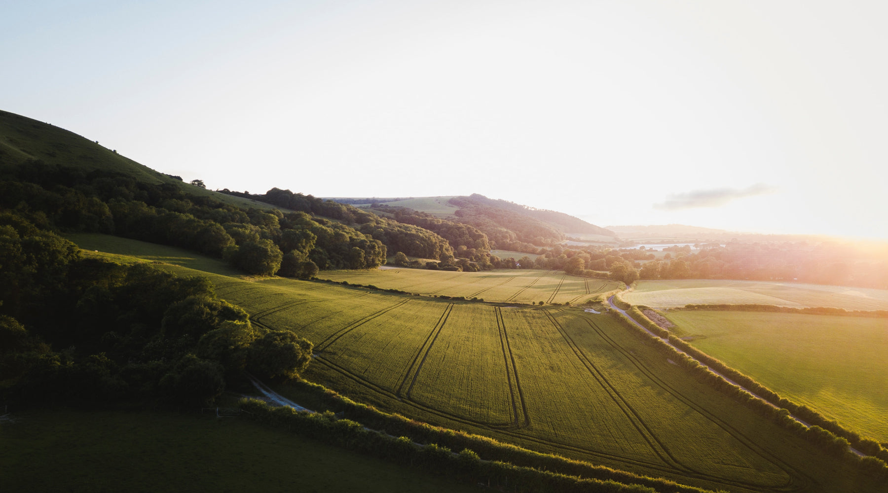 Luftaufnahme einer sonnenbeschienenen, hügeligen Landschaft mit üppigen grünen Feldern und einer auf- oder untergehenden Sonne am Horizont.