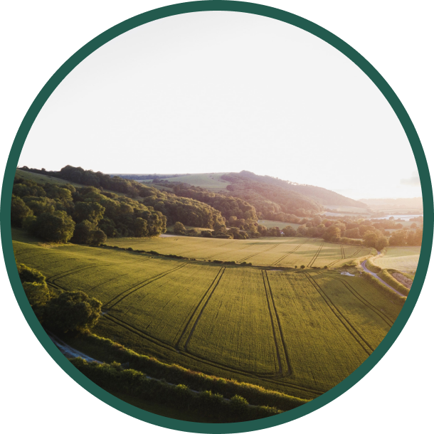 Luftaufnahme einer üppig grünen Landschaft mit sanften Hügeln, Ackerland und vereinzelten Bäumen unter einem klaren Himmel.
