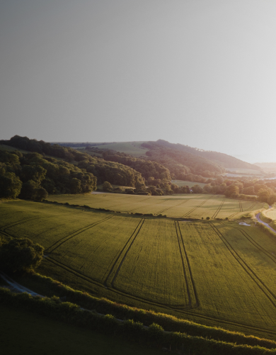Luftaufnahme einer malerischen Landschaft mit grünen Feldern, sanften Hügeln und einigen verstreuten Bäumen bei Sonnenuntergang.