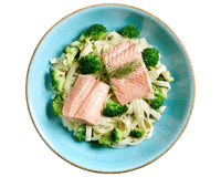 Bandnudeln mit Wildlachs von Hofmanns Shop, serviert mit Brokkoli und Dill garniert.